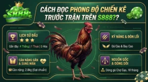 Cách đọc phong độ chiến kê trước trận trên S888