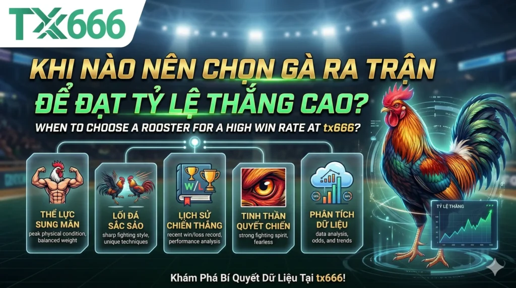 Kinh nghiệm xem lông gà để đoán phong độ tại S888