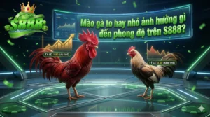 Mào gà to hay nhỏ ảnh hưởng gì đến phong độ trên S888?