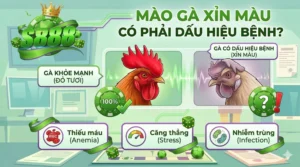 Mào gà xỉn màu có phải dấu hiệu bệnh?