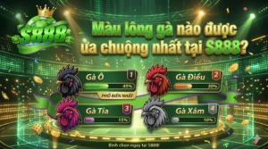 Màu lông gà nào được ưa chuộng nhất tại S888?