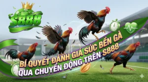 Bí quyết đánh giá sức bền gà qua chuyển động trên S888