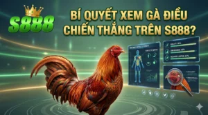 Bí quyết xem gà điều chiến thắng trên S888