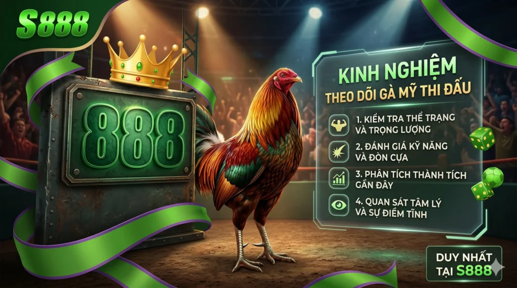 Kinh nghiệm theo dõi gà Mỹ thi đấu tại S888