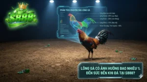 Lông gà có ảnh hưởng bao nhiêu % đến sức bền khi đá tại S888?