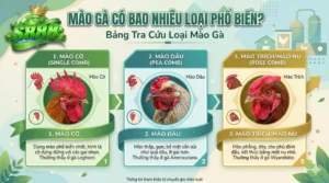 Mào gà có bao nhiêu loại phổ biến?