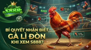 Bí quyết nhận biết gà lì đòn khi xem S888